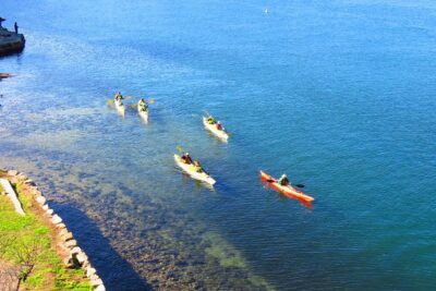 Sydney's Middle Harbour Sea Kayaking Eco Tour (Fully Guided) - Step-by-Step: What Happens When You Paddle Through Garigal National Park