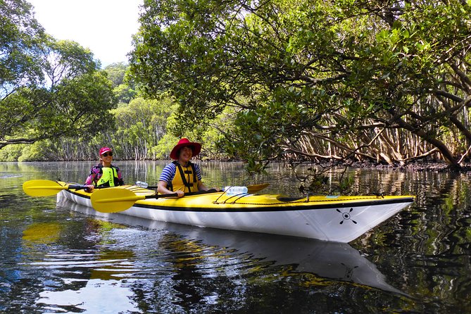 Sydney's Middle Harbour Sea Kayaking Eco Tour (Fully Guided) - Paddling Comfort and First-Timer Readiness (What You’ll Actually Feel)