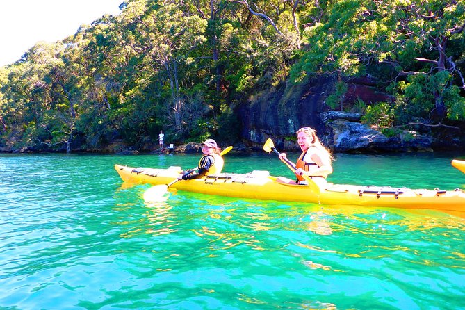 Sydney's Middle Harbour Sea Kayaking Eco Tour (Fully Guided) - Where You Meet in Mosman (and How to Plan Your Morning)