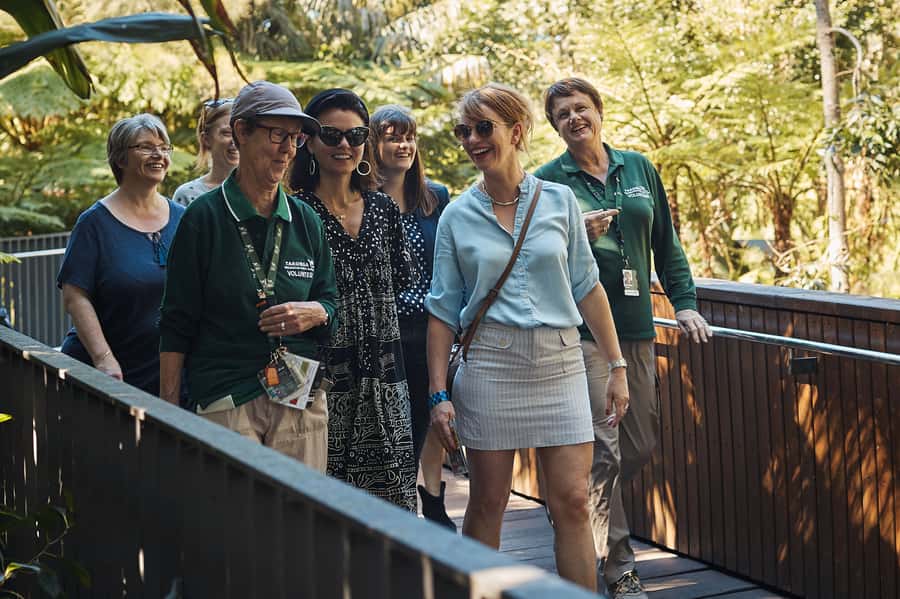 Taronga Zoo Aussie Backyard Adventure - Nura Diya at Taronga Zoo: why this guide-led route feels different