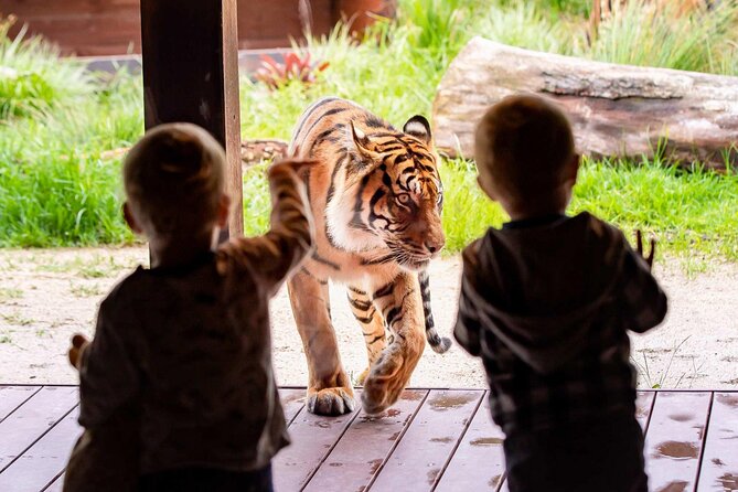 Taronga Zoo + Ferry Return Ticket - Price and what you’re actually paying for ($56.66)