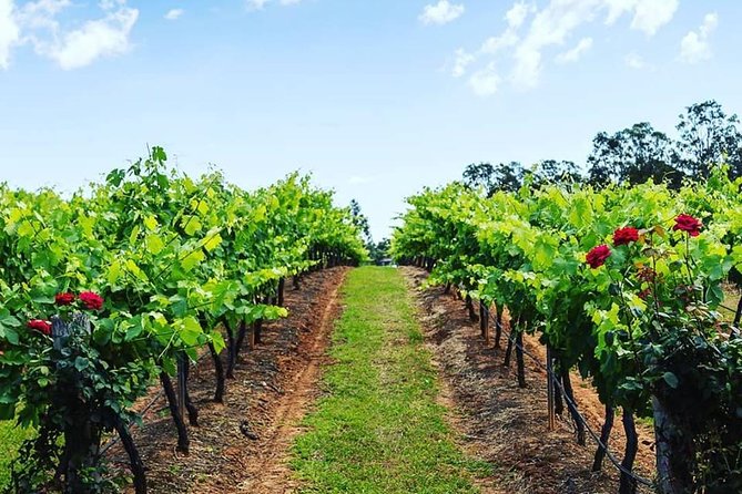 Tintilla Estate: Wine Tasting with a Meat and Cheese Platter - Logistics That Matter: Meeting Point, Timing, and Comfort