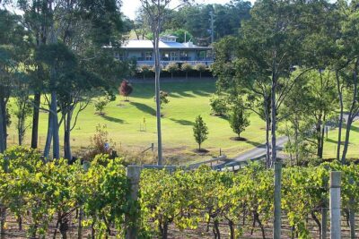 Tulloch Wines - Wine Tasting paired with Local Handmade Chocolates - Price and value: $25.10 for five pours plus five chocolates
