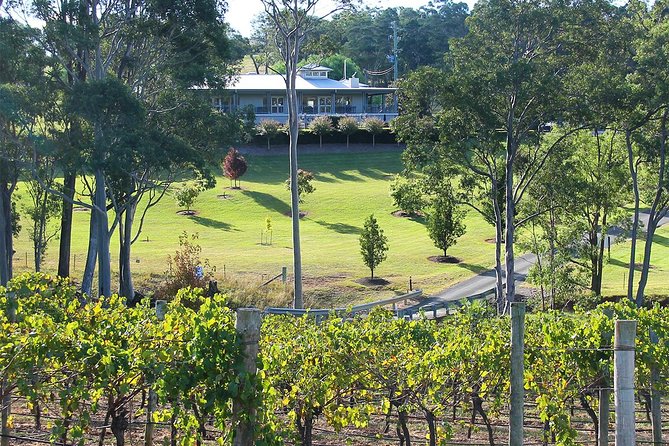 Tulloch Wines - Wine Tasting paired with Local Handmade Chocolates - Price and value: $25.10 for five pours plus five chocolates