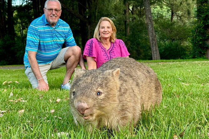 WILD Wombat and Kangaroo Day Tour, All Inclusive - Key highlights worth aiming for