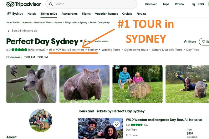 WILD Wombat and Kangaroo Day Tour, All Inclusive - Leaving Sydney the way locals do: viewpoints, passes, and waterfall stops