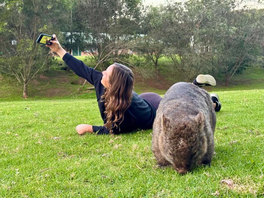 WILD Wombats and Kangaroo Experience, All Inclusive, Sydney - Getting to the tour: where the bus is and how not to miss it