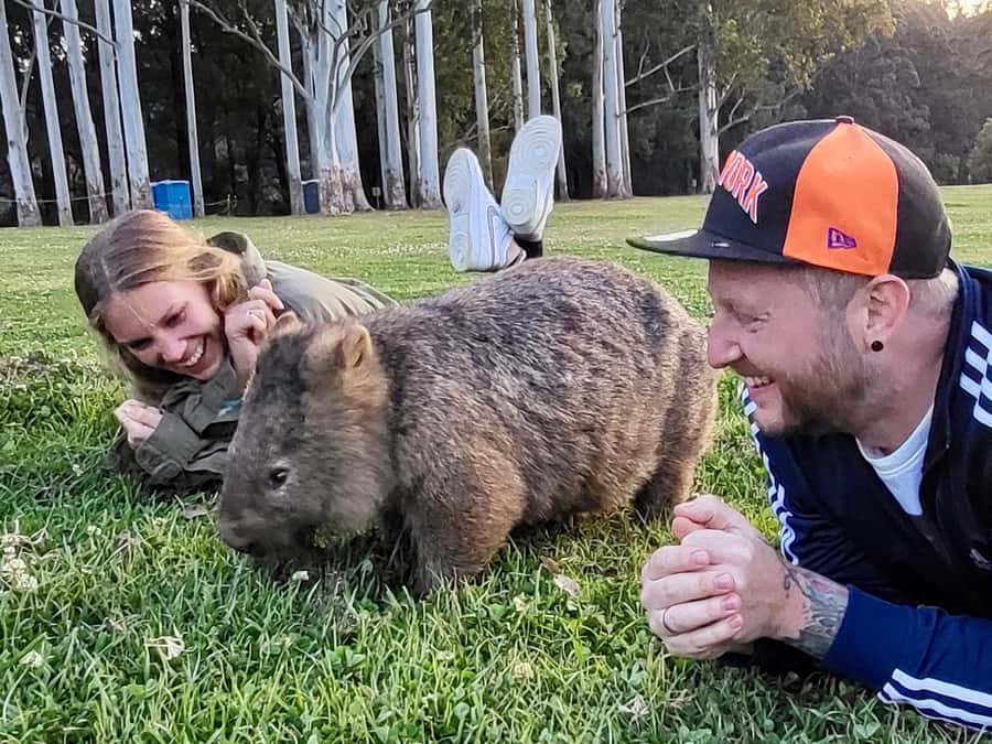 WILD Wombats and Kangaroo Experience, All Inclusive, Sydney - Macquarie Pass National Park: cliff views and first wildlife chances