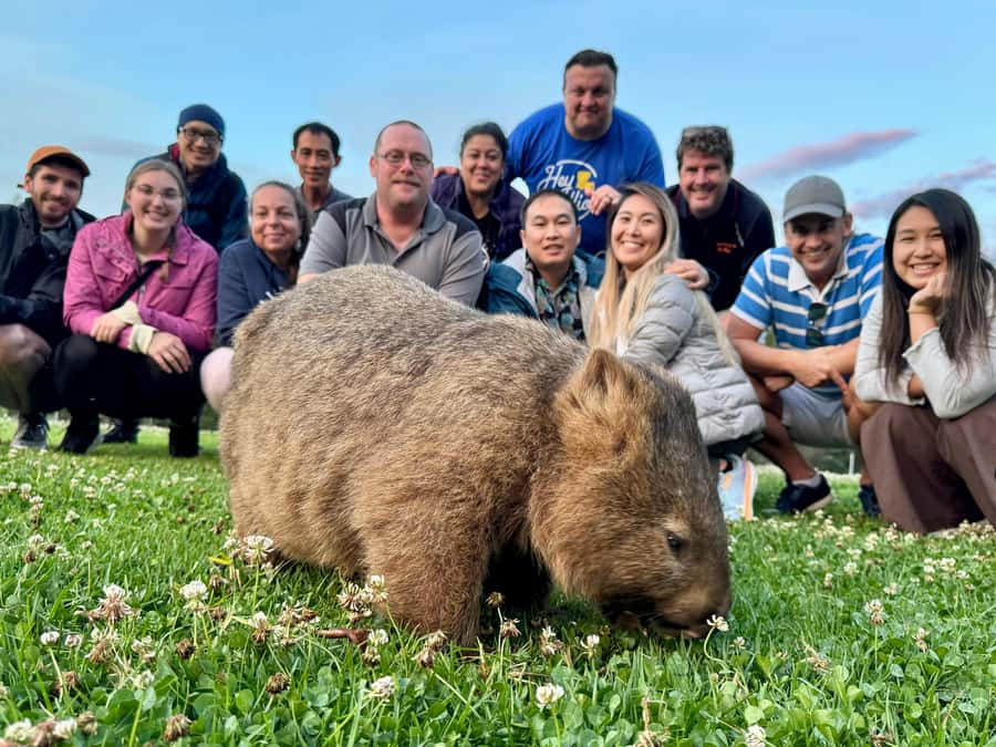 WILD Wombats and Kangaroo Experience, All Inclusive, Sydney - Morton National Park and the waterfall stops: where the scenery gives you a break