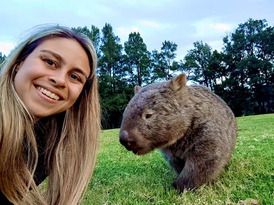 WILD Wombats and Kangaroo Experience, All Inclusive, Sydney - Dinner at a historic pub: food that lands after a long day
