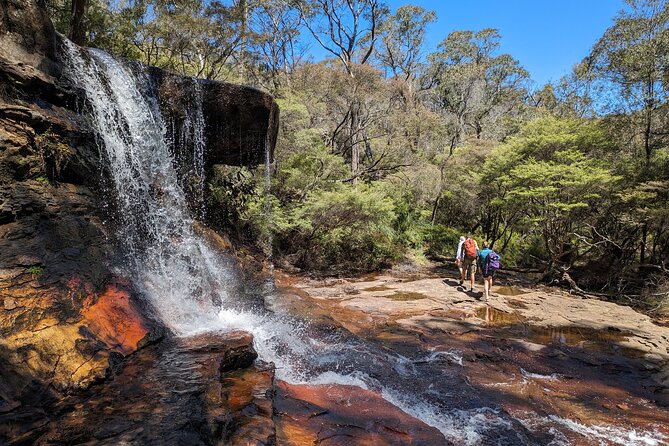 Wilderness, Waterfalls, Three Sisters BLUE MOUNTAINS PRIVATE TOUR - Narrow Neck and Cahill’s Lookout: short walks, strong perspectives