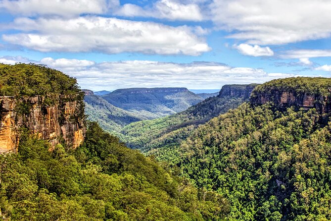 Wildlife, Waterfalls and Wine Day Tour from Sydney - Seaside Lunch Break: Food by the Water, Plus a Chance to Cool Off