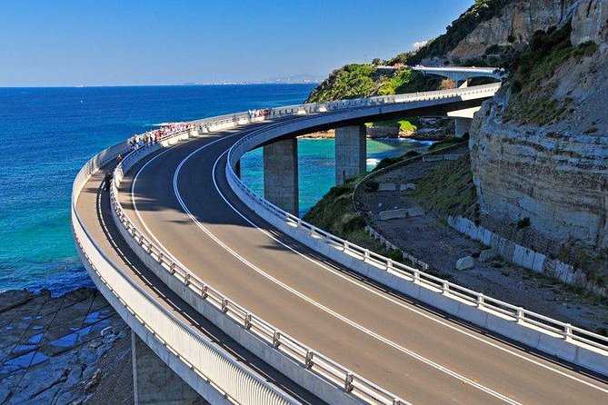Wildlife, Wine & Waves – Epic South Coast Adventure from Sydney - Private Sydney Pickup to South Coast Fast Track