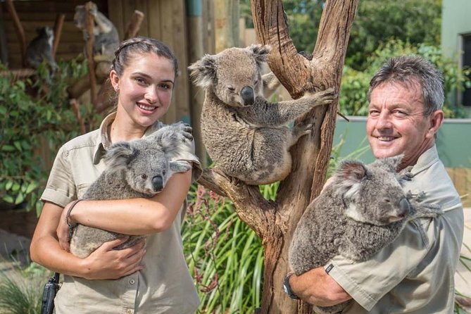 Wildlife, Wine & Waves – Epic South Coast Adventure from Sydney - Bare Island and Stanwell Tops: Quick Stops With Big Payoff