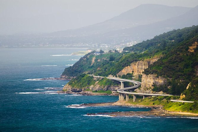 Wildlife, Wine & Waves – Epic South Coast Adventure from Sydney - Sea Cliff Bridge: The 140 m Ocean-View Moment