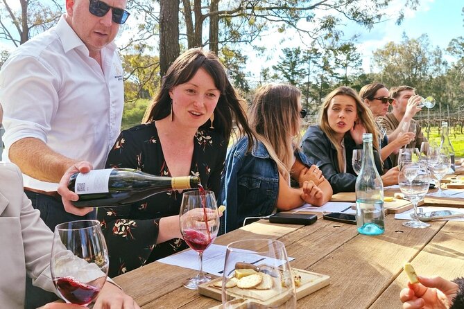 Wine & Cheese Tasting Experience in Hunter Valley - McCaffrey’s Estate: A Pokolbin cellar door with a human scale