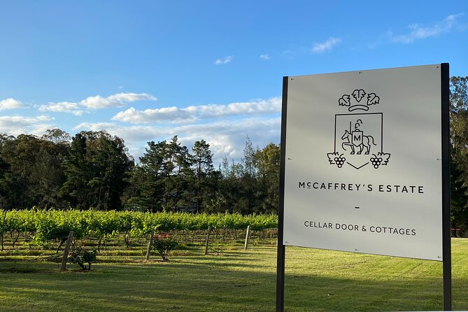 Wine & Cheese Tasting Experience in Hunter Valley - Price and value: what $15.42 buys you in real terms